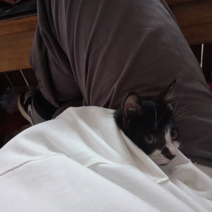 5178在线观看免费网站大全下载安装
